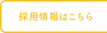 採用情報はこちら
